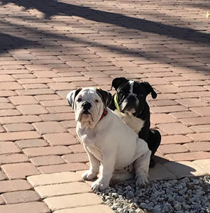 Meet your Posher, Helen